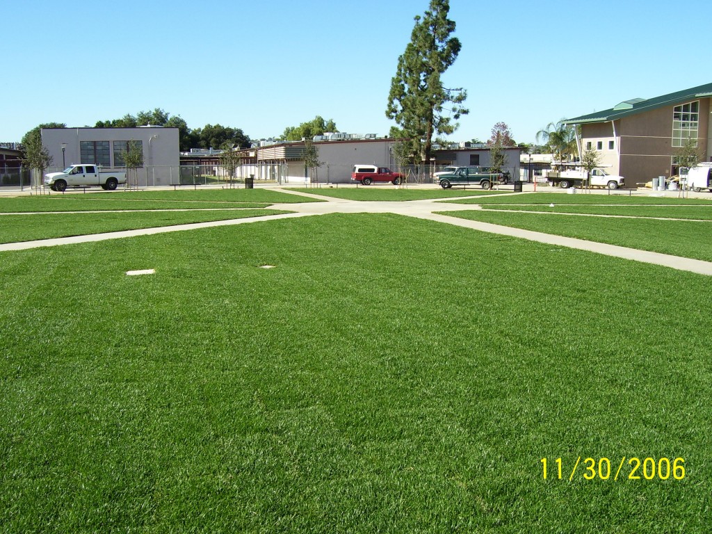 Cajon Valley Middle School Rocky Coast Builders