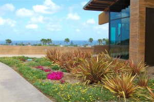 Encinitas Library 4