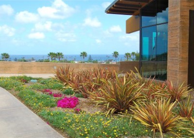 Encinitas Library 4